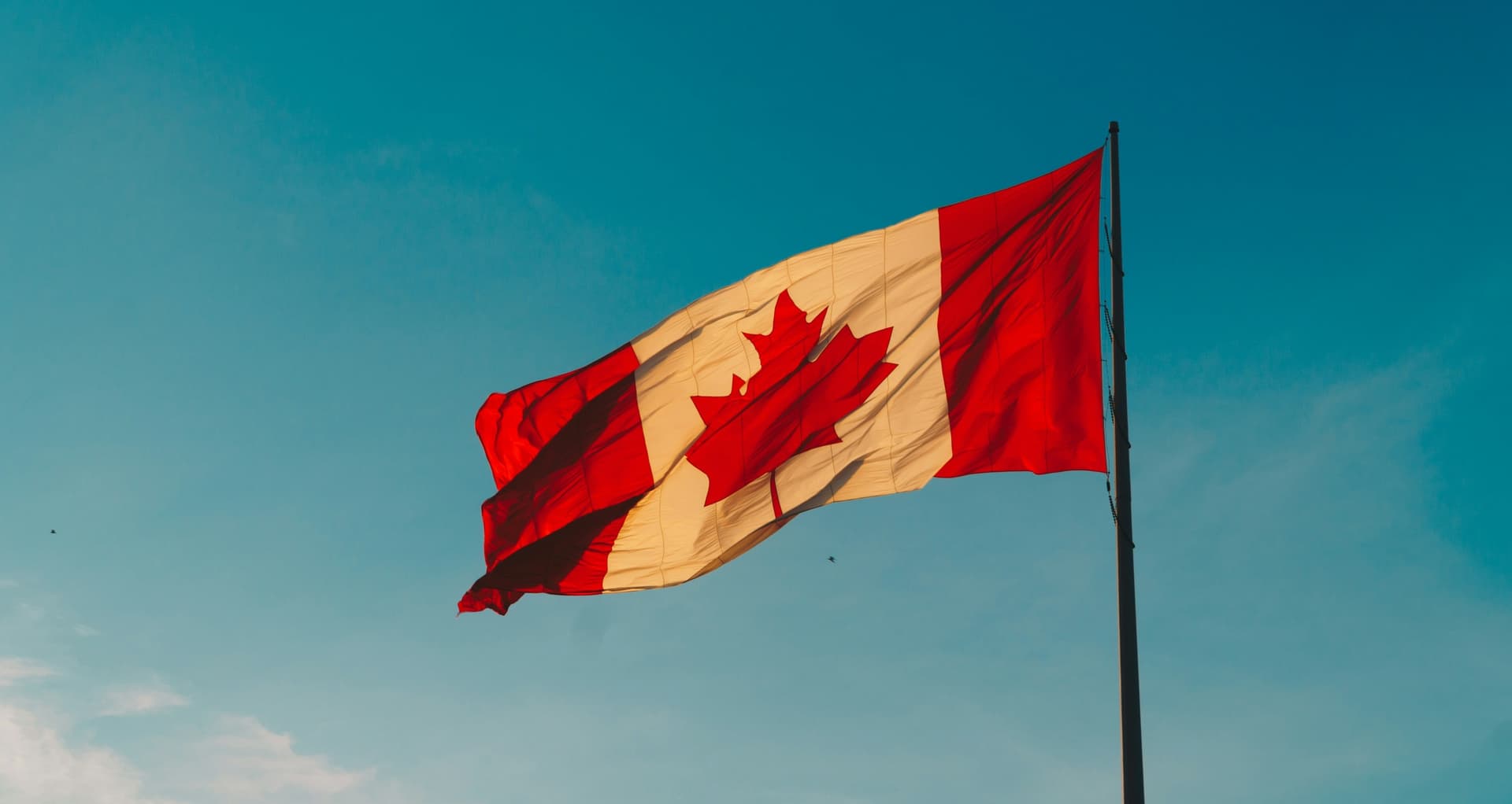Seis maiores bancos do Canadá estudam depósito tokenizado