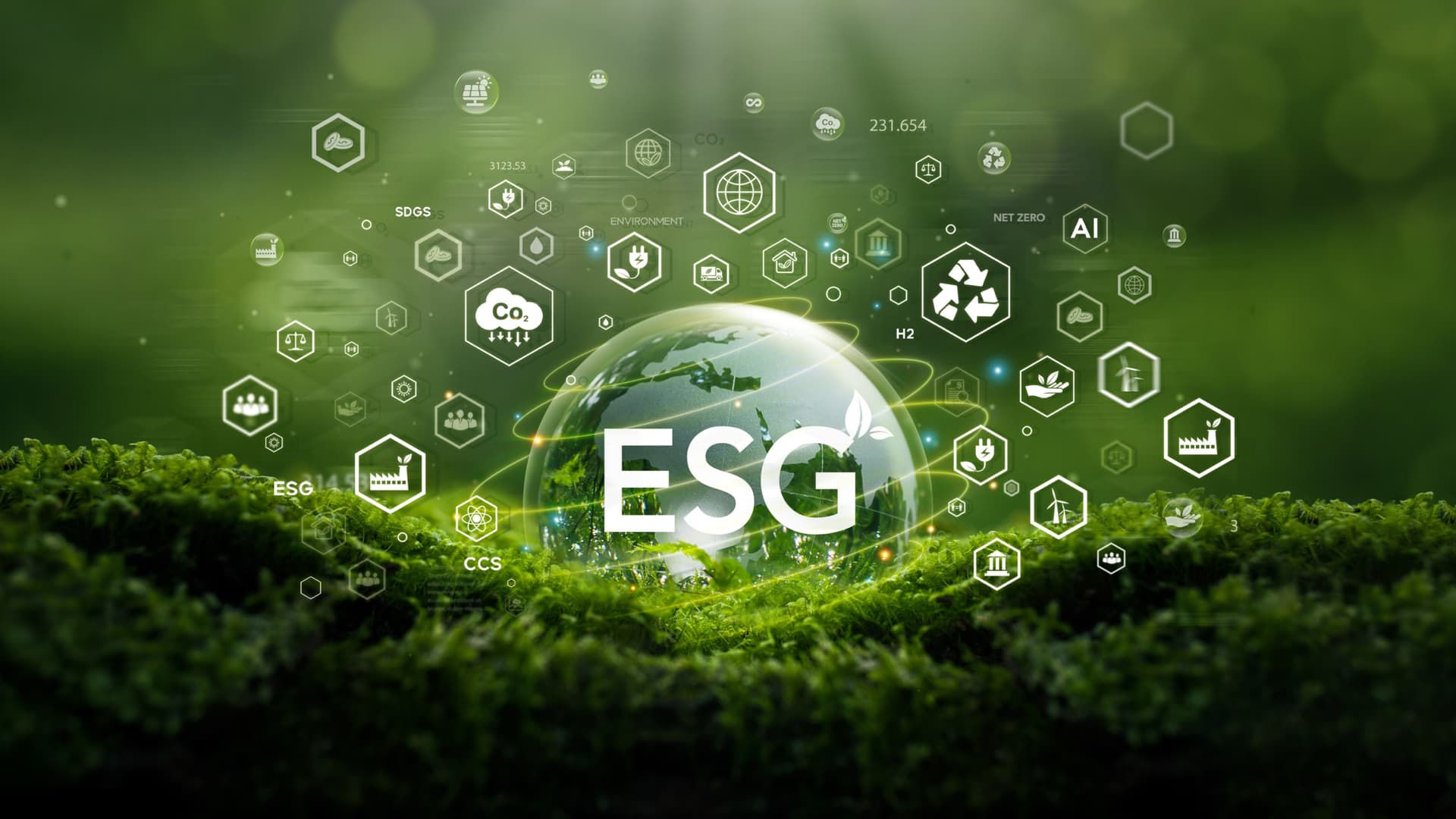 Estudo liga fintech a desenvolvimento verde na Ásia e África